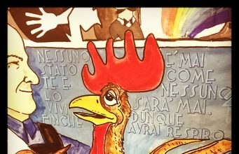 Gallo Azzurro, custodi del tempo