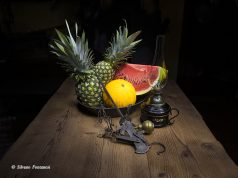 Silvano Fontanesi, fotografia da annusare