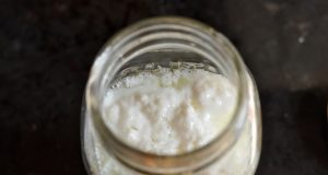 Alimenti fermentati, una riscoperta salutare