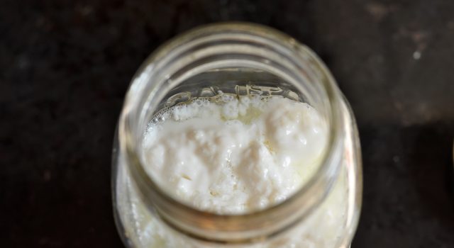 Alimenti fermentati, una riscoperta salutare