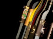 Haas e Schweizer, un incontro artistico