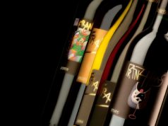 Haas e Schweizer, un incontro artistico