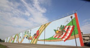 Cibo, street art gastronomica