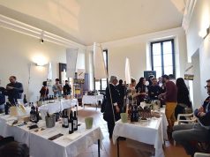 Terre di vini, di vigneti e di vite