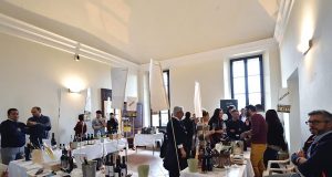 Terre di vini, di vigneti e di vite