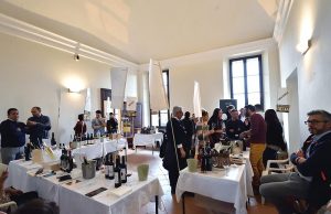 Terre di vini, di vigneti e di vite