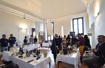 Terre di vini, di vigneti e di vite