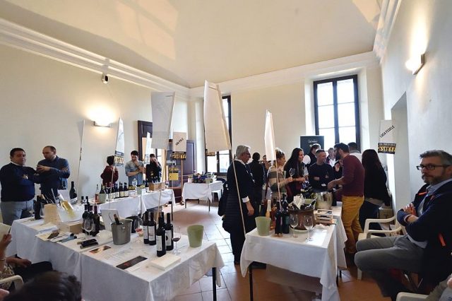 Terre di vini, di vigneti e di vite