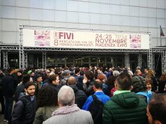 Piacenza: Fivi, vino e rock’n’roll