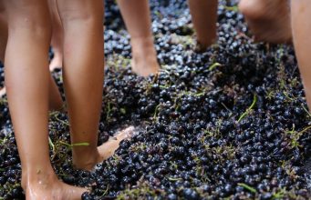 Festa della Vendemmia a Villaggio Fontanafredda