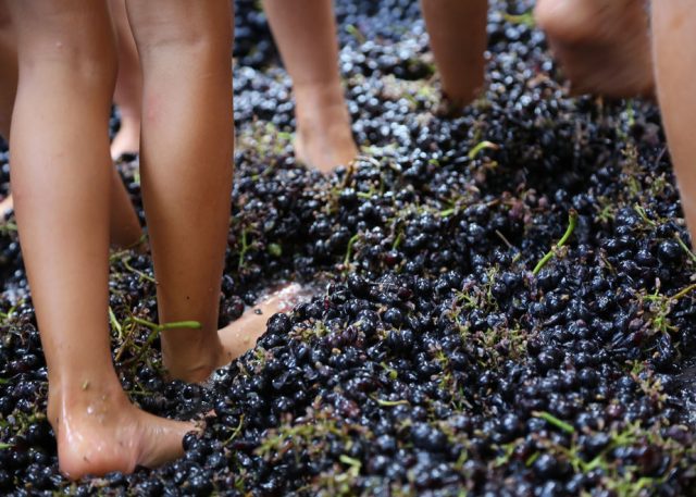 Festa della Vendemmia a Villaggio Fontanafredda