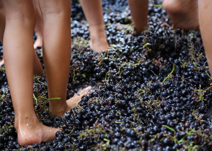 Festa della Vendemmia a Villaggio Fontanafredda