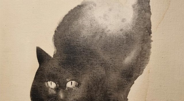 A maggio arriva “Aperitivo in Giardino – con Autori e Produttori”