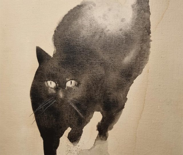 A maggio arriva “Aperitivo in Giardino – con Autori e Produttori”